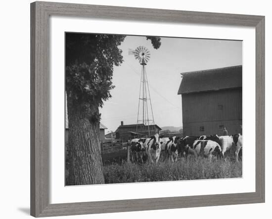 Farm Scenes of Farm Life in the Midwest-null-Framed Photographic Print