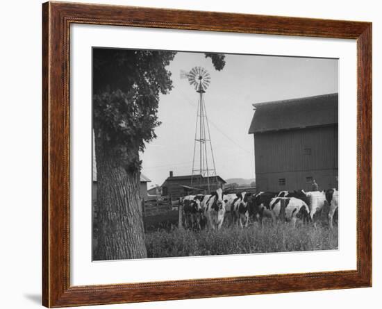 Farm Scenes of Farm Life in the Midwest-null-Framed Photographic Print