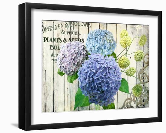 Farm Seed Hydrangeas-Art Licensing Studio-Framed Giclee Print