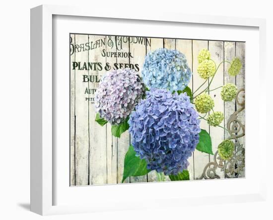 Farm Seed Hydrangeas-Art Licensing Studio-Framed Giclee Print