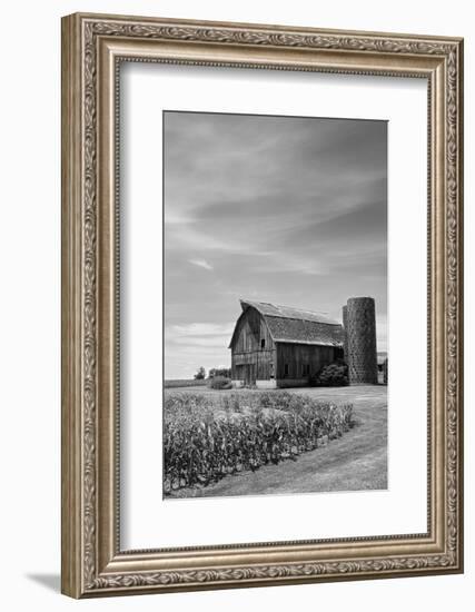 Farm Serenity II-Leda Robertson-Framed Photographic Print