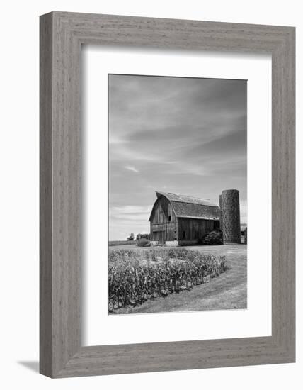 Farm Serenity II-Leda Robertson-Framed Photographic Print