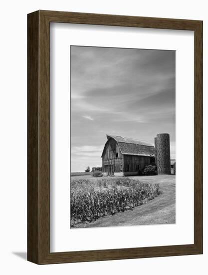 Farm Serenity II-Leda Robertson-Framed Photographic Print