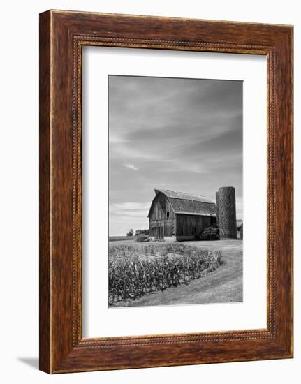 Farm Serenity II-Leda Robertson-Framed Photographic Print