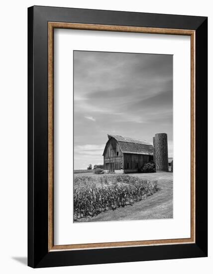 Farm Serenity II-Leda Robertson-Framed Photographic Print