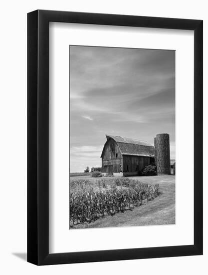 Farm Serenity II-Leda Robertson-Framed Photographic Print