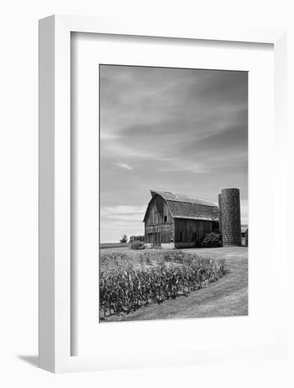 Farm Serenity II-Leda Robertson-Framed Photographic Print