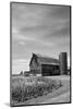 Farm Serenity II-Leda Robertson-Mounted Photographic Print