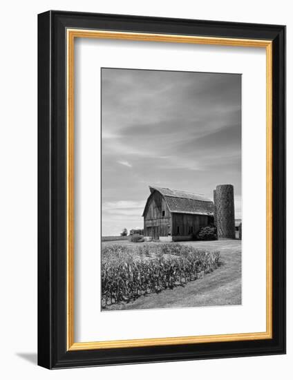 Farm Serenity II-Leda Robertson-Framed Photographic Print