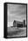 Farm Serenity II-Leda Robertson-Framed Premier Image Canvas