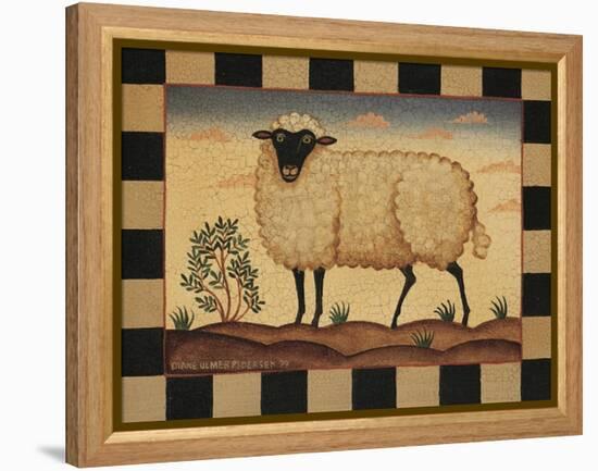 Farm Sheep-Diane Pedersen-Framed Stretched Canvas