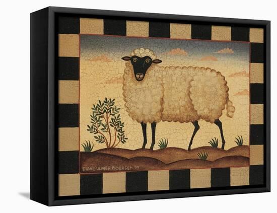 Farm Sheep-Diane Pedersen-Framed Stretched Canvas