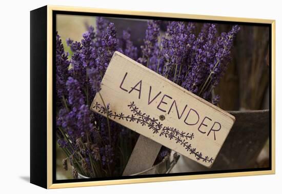 Farm Sign with Dried Lavender for Sale at Lavender Festival, Sequim, Washington, USA-Merrill Images-Framed Premier Image Canvas