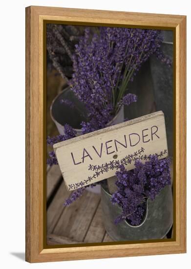 Farm Sign with Dried Lavender for Sale at Lavender Festival, Sequim, Washington, USA-Merrill Images-Framed Premier Image Canvas