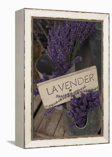 Farm Sign with Dried Lavender for Sale at Lavender Festival, Sequim, Washington, USA-Merrill Images-Framed Premier Image Canvas