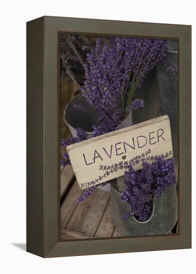 Farm Sign with Dried Lavender for Sale at Lavender Festival, Sequim, Washington, USA-Merrill Images-Framed Premier Image Canvas