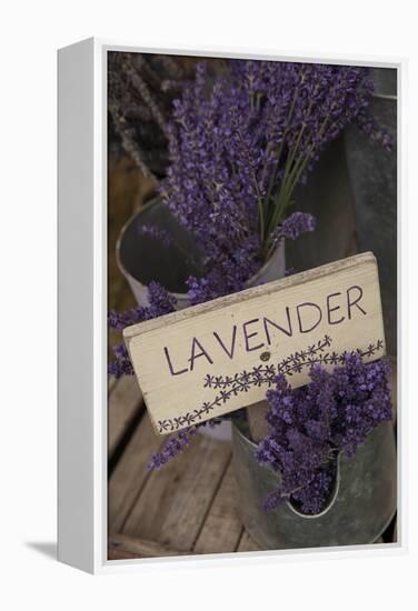 Farm Sign with Dried Lavender for Sale at Lavender Festival, Sequim, Washington, USA-Merrill Images-Framed Premier Image Canvas