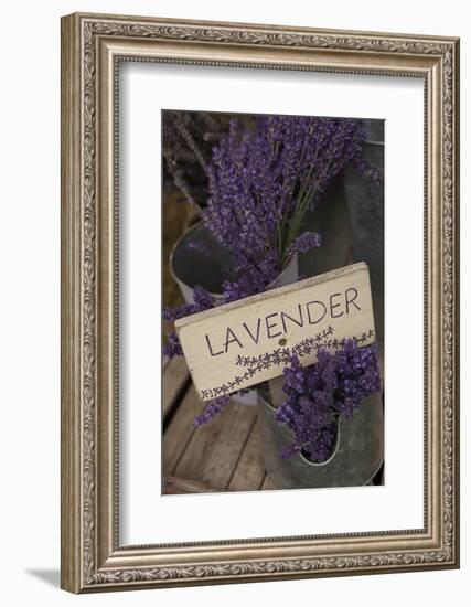 Farm Sign with Dried Lavender for Sale at Lavender Festival, Sequim, Washington, USA-Merrill Images-Framed Photographic Print