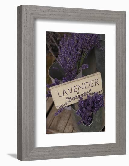 Farm Sign with Dried Lavender for Sale at Lavender Festival, Sequim, Washington, USA-Merrill Images-Framed Photographic Print