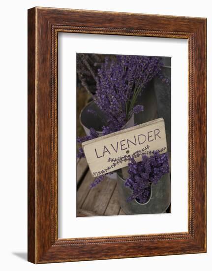 Farm Sign with Dried Lavender for Sale at Lavender Festival, Sequim, Washington, USA-Merrill Images-Framed Photographic Print