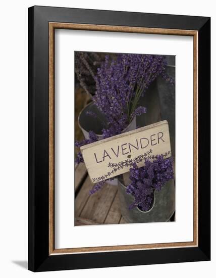 Farm Sign with Dried Lavender for Sale at Lavender Festival, Sequim, Washington, USA-Merrill Images-Framed Photographic Print