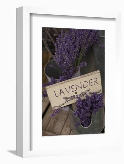 Farm Sign with Dried Lavender for Sale at Lavender Festival, Sequim, Washington, USA-Merrill Images-Framed Photographic Print