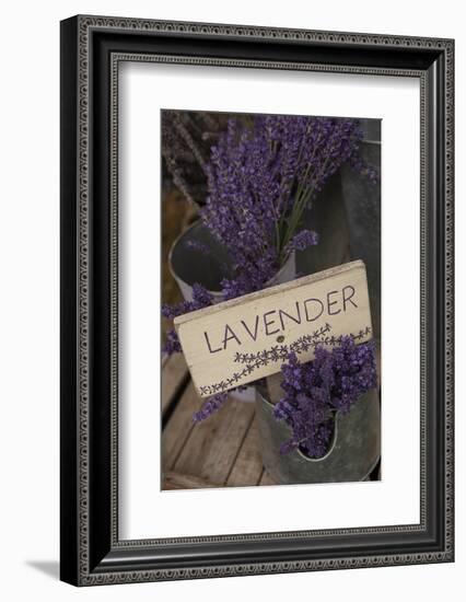 Farm Sign with Dried Lavender for Sale at Lavender Festival, Sequim, Washington, USA-Merrill Images-Framed Photographic Print