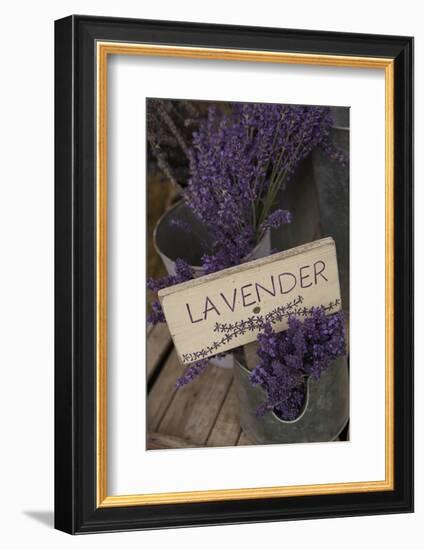 Farm Sign with Dried Lavender for Sale at Lavender Festival, Sequim, Washington, USA-Merrill Images-Framed Photographic Print