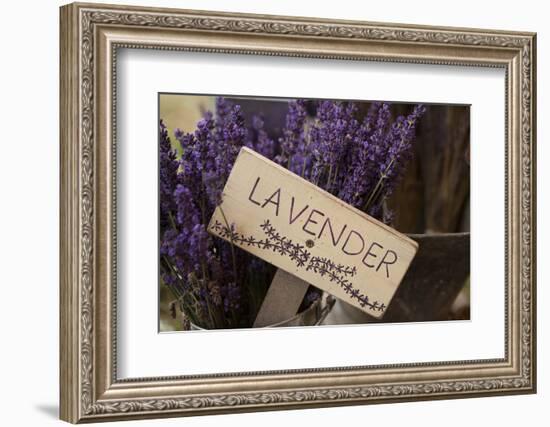 Farm Sign with Dried Lavender for Sale at Lavender Festival, Sequim, Washington, USA-Merrill Images-Framed Photographic Print