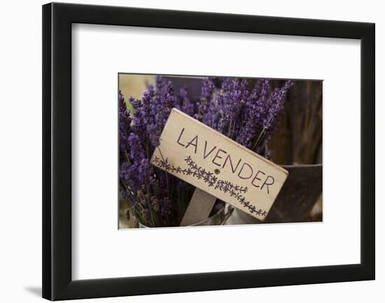 Farm Sign with Dried Lavender for Sale at Lavender Festival, Sequim, Washington, USA-Merrill Images-Framed Photographic Print