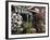 Farm Stand in Red Barn with Flowers, Long Island, New York, USA-Merrill Images-Framed Photographic Print