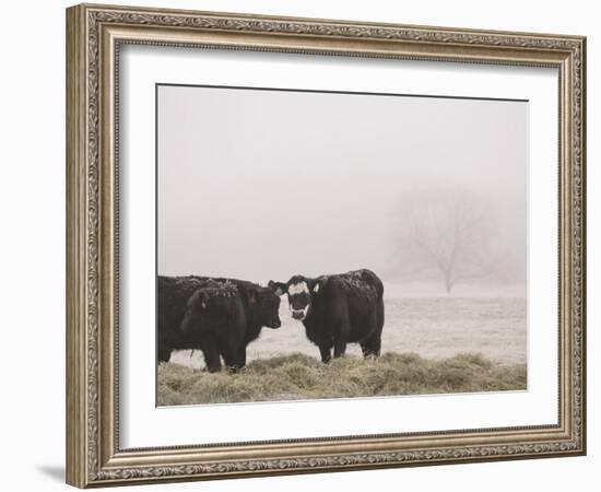 Farm Study I-Adam Mead-Framed Photographic Print