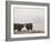 Farm Study I-Adam Mead-Framed Photographic Print