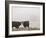 Farm Study I-Adam Mead-Framed Photographic Print