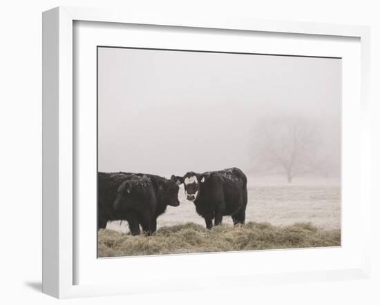 Farm Study I-Adam Mead-Framed Photographic Print