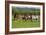 Farm UK 005-Bob Langrish-Framed Photographic Print