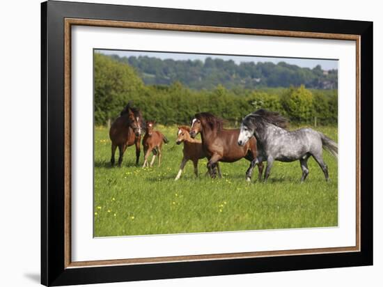 Farm UK 005-Bob Langrish-Framed Photographic Print