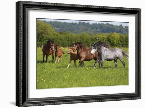 Farm UK 005-Bob Langrish-Framed Photographic Print