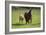 Farm UK 007-Bob Langrish-Framed Photographic Print