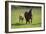 Farm UK 007-Bob Langrish-Framed Photographic Print