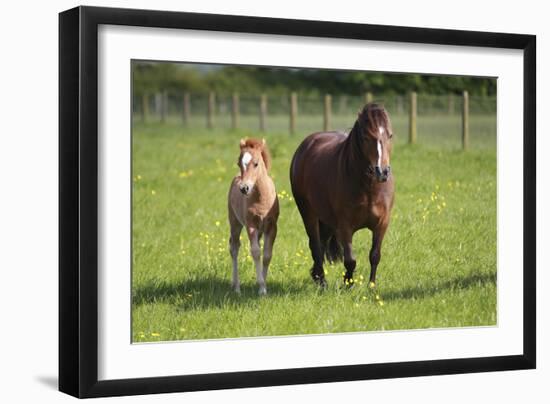 Farm UK 007-Bob Langrish-Framed Photographic Print