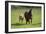 Farm UK 007-Bob Langrish-Framed Photographic Print