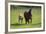 Farm UK 007-Bob Langrish-Framed Photographic Print