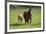 Farm UK 007-Bob Langrish-Framed Photographic Print