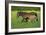 Farm UK 011-Bob Langrish-Framed Photographic Print