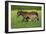 Farm UK 011-Bob Langrish-Framed Photographic Print