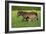 Farm UK 011-Bob Langrish-Framed Photographic Print