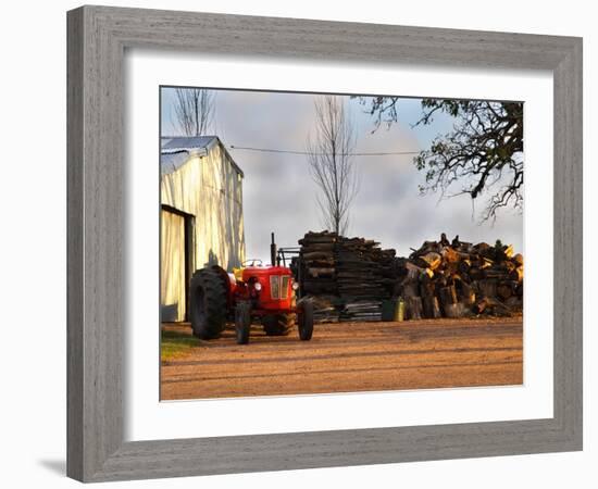 Farm with Old Red Tractor and Firewood, Montevideo, Uruguay-Per Karlsson-Framed Photographic Print