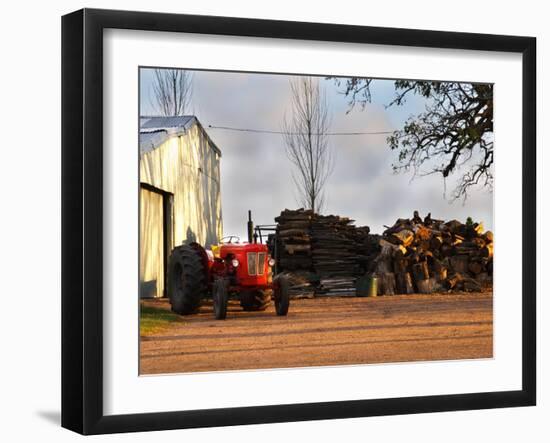 Farm with Old Red Tractor and Firewood, Montevideo, Uruguay-Per Karlsson-Framed Photographic Print