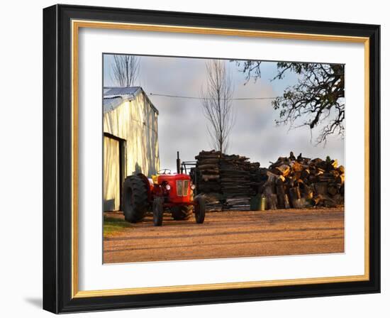 Farm with Old Red Tractor and Firewood, Montevideo, Uruguay-Per Karlsson-Framed Photographic Print